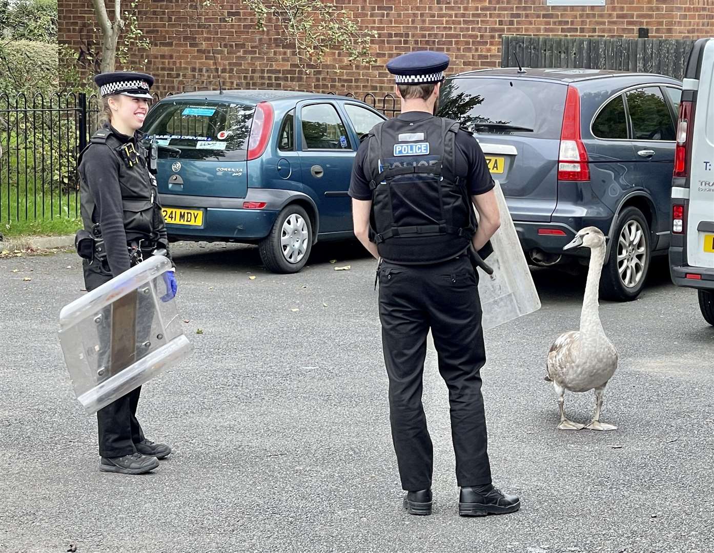 Officers try and keep the swan at bay. (Credit: Chris Parish)