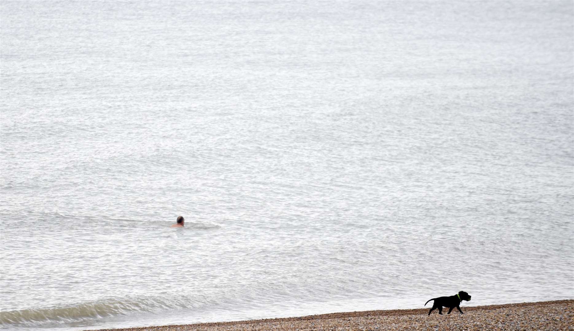 A lone swimmer in the sea at Princes Parade in Hythe today, while a dog keeps a safe social distance. Picture: Barry Goodwin