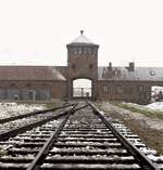 Auschwitz - described as "he biggest murder scene on the planet".
