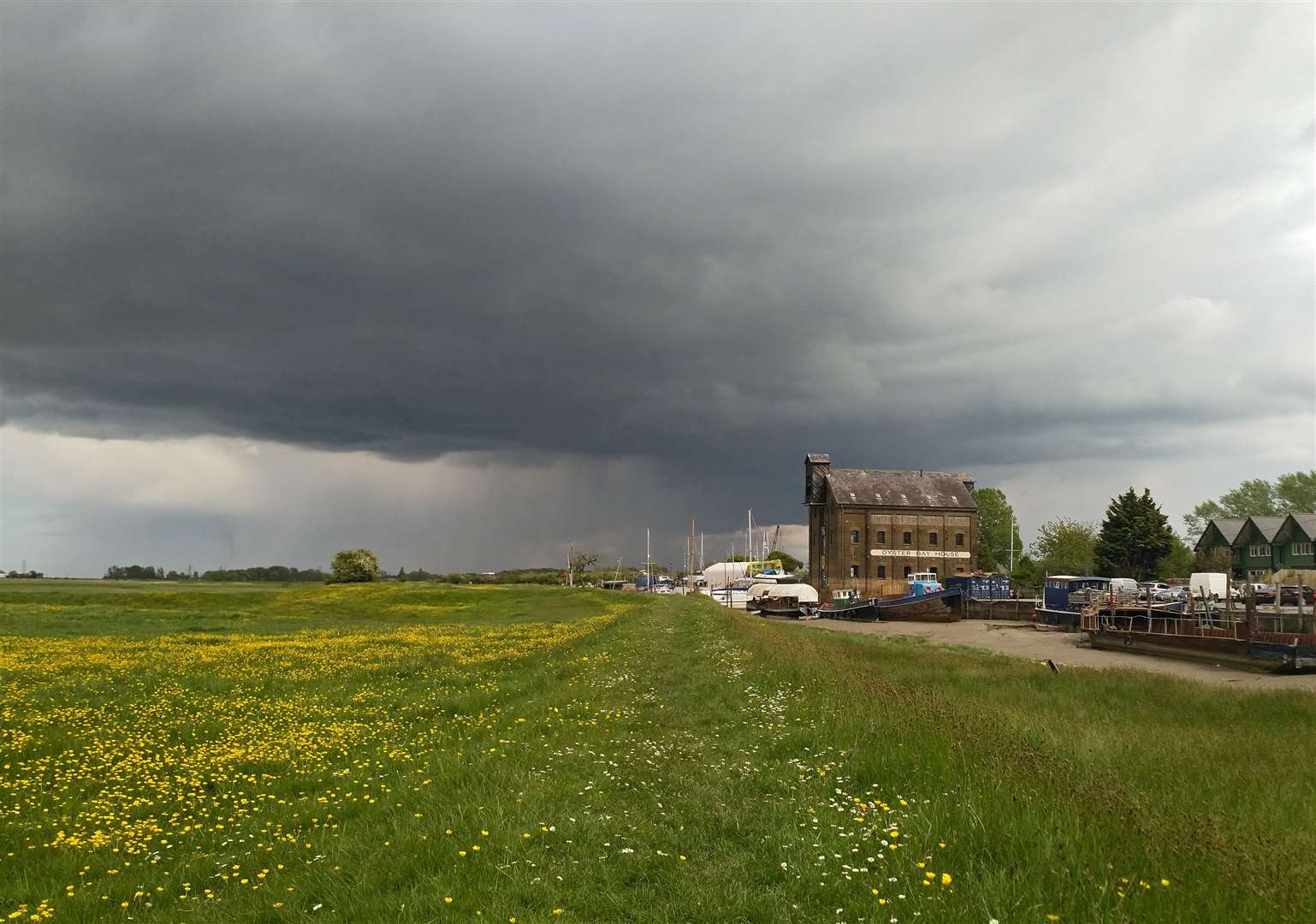 Storm and buttercups on Saxon Shore Way. Pic: Richard Drew