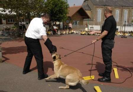 Sgt Keiran McCarthy and police dog trainer George Middlemass with Ellie give a display to pupils at St Alphege School
