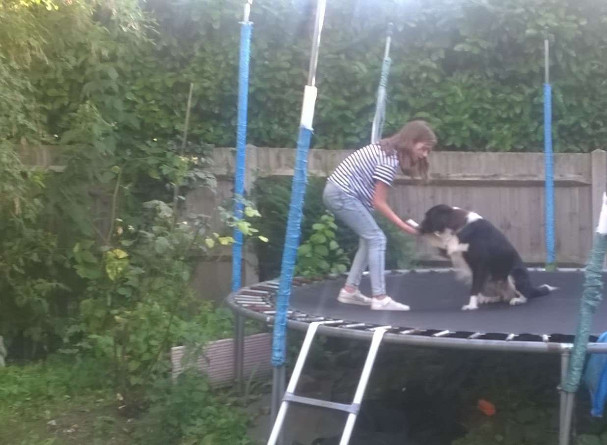 Ziggy was having fun in the garden until he bounced a bit too high
