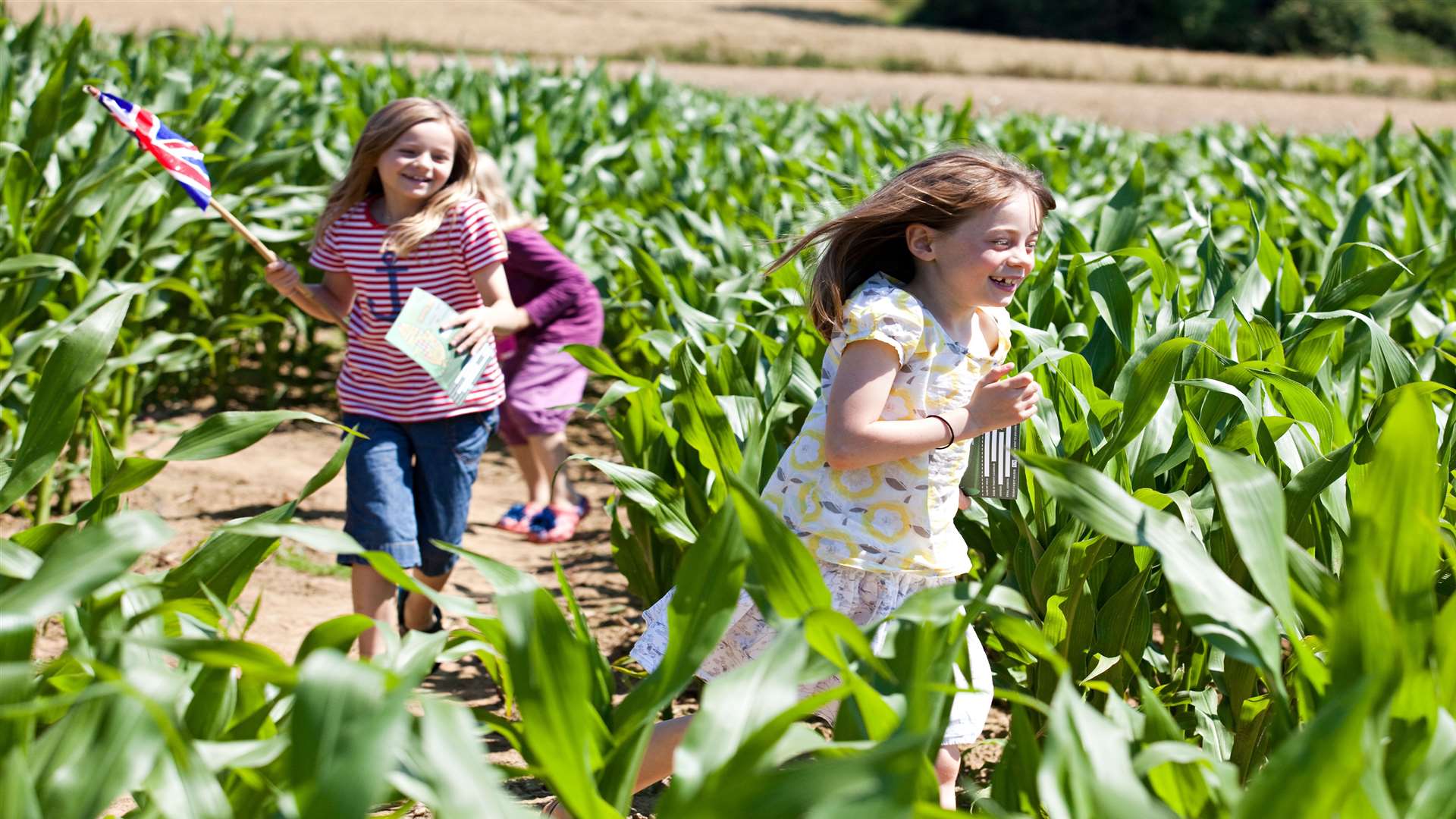 Try the Maize Maze at Penshurst Place