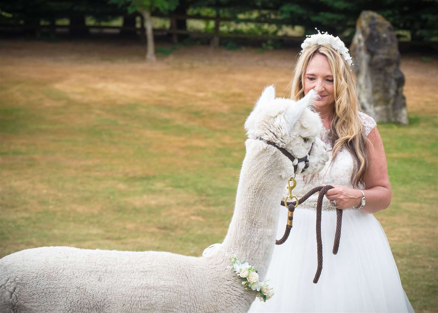 Lower Bush Alpacas wedding packages start from £450. Picture: Jo Ramadan Photography