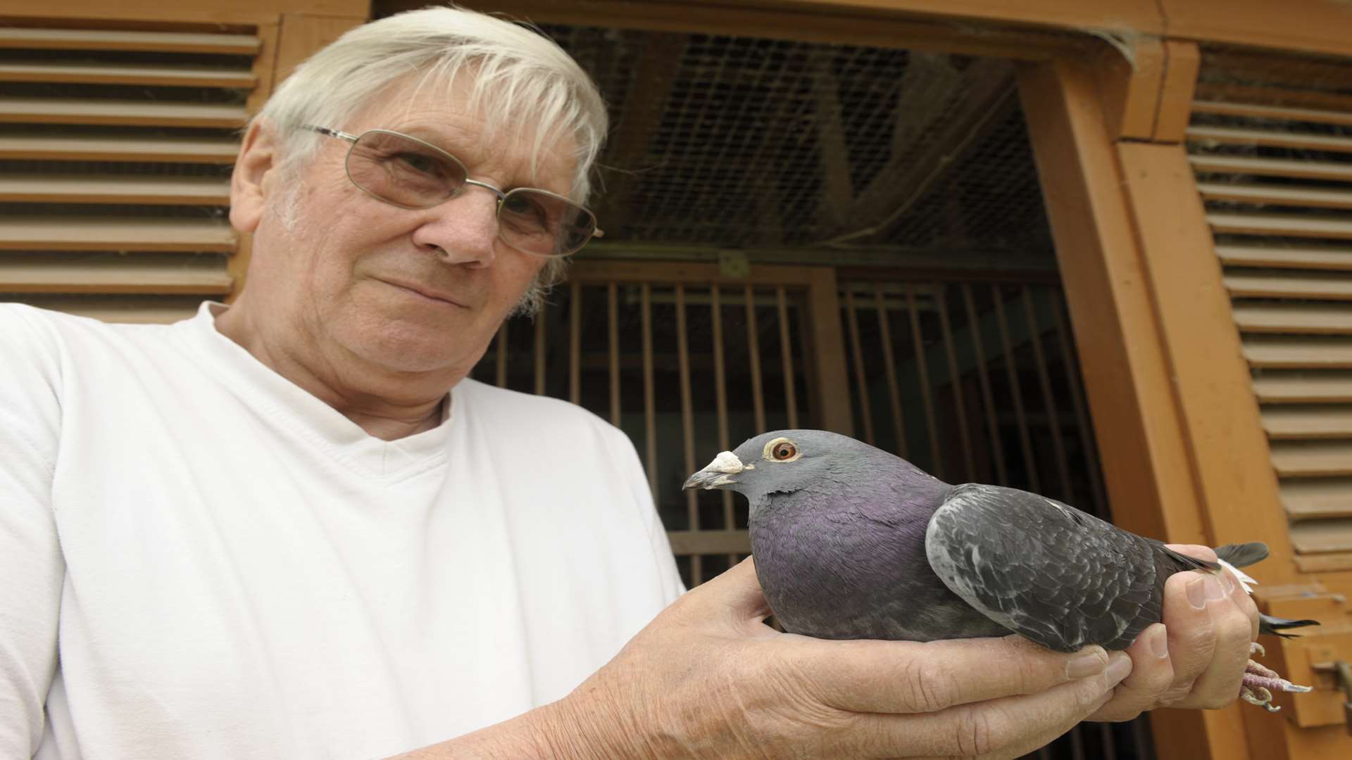Bill Cowper with one of his pigeons. Picture: Steve Crispe