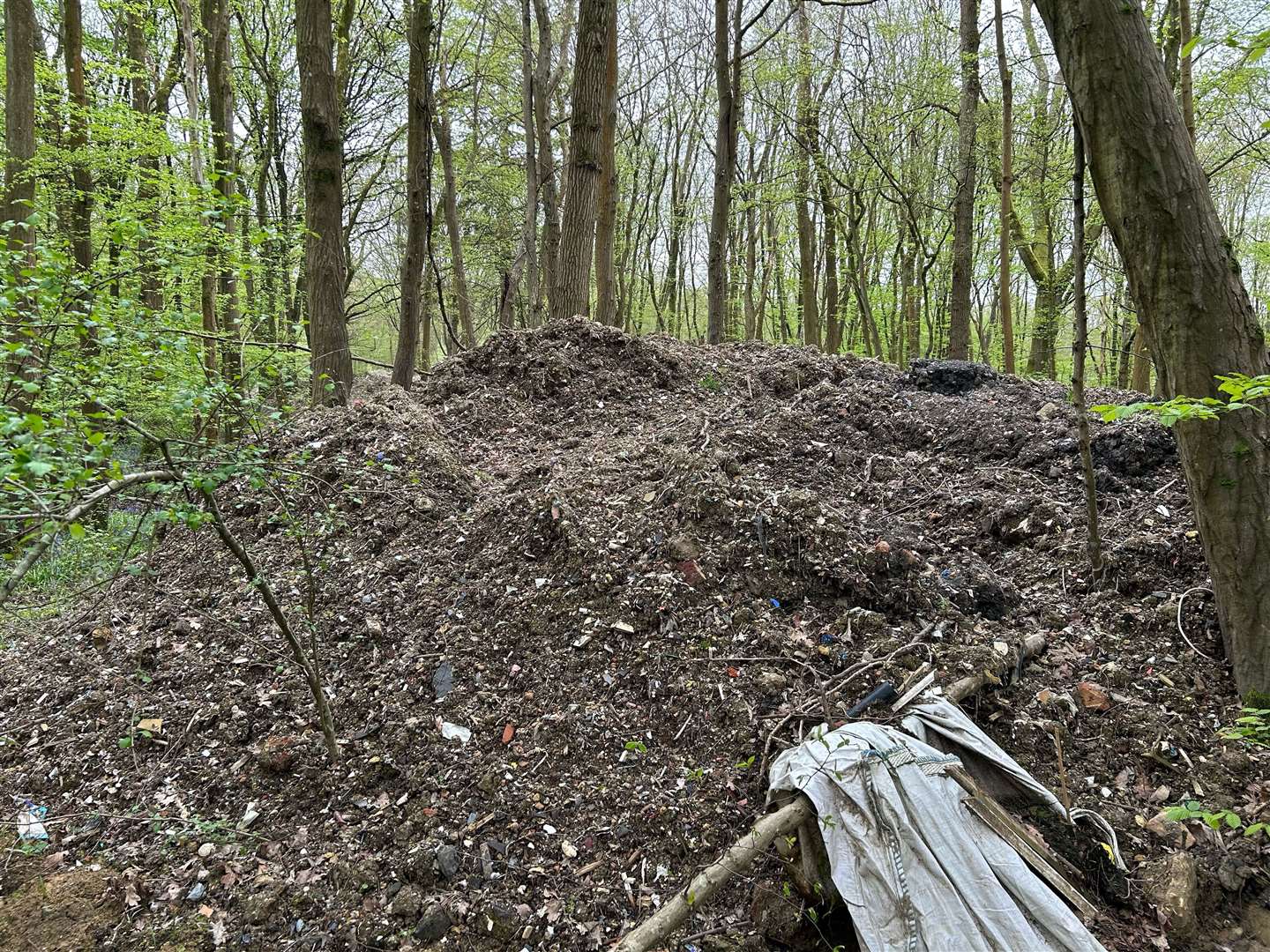 Stinking rubbish is piled high in Hoads Wood, Ashford