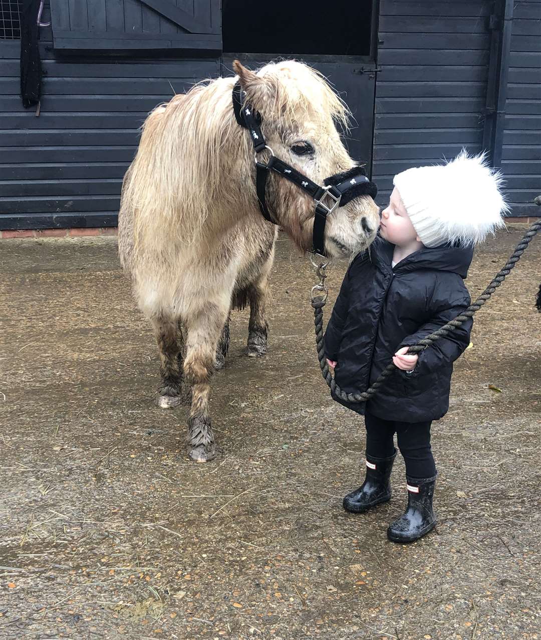 18-year-old shetland pony Dougal with 22 month-old granddaughter of Teresa Bloomfield, Betsy (44453347)