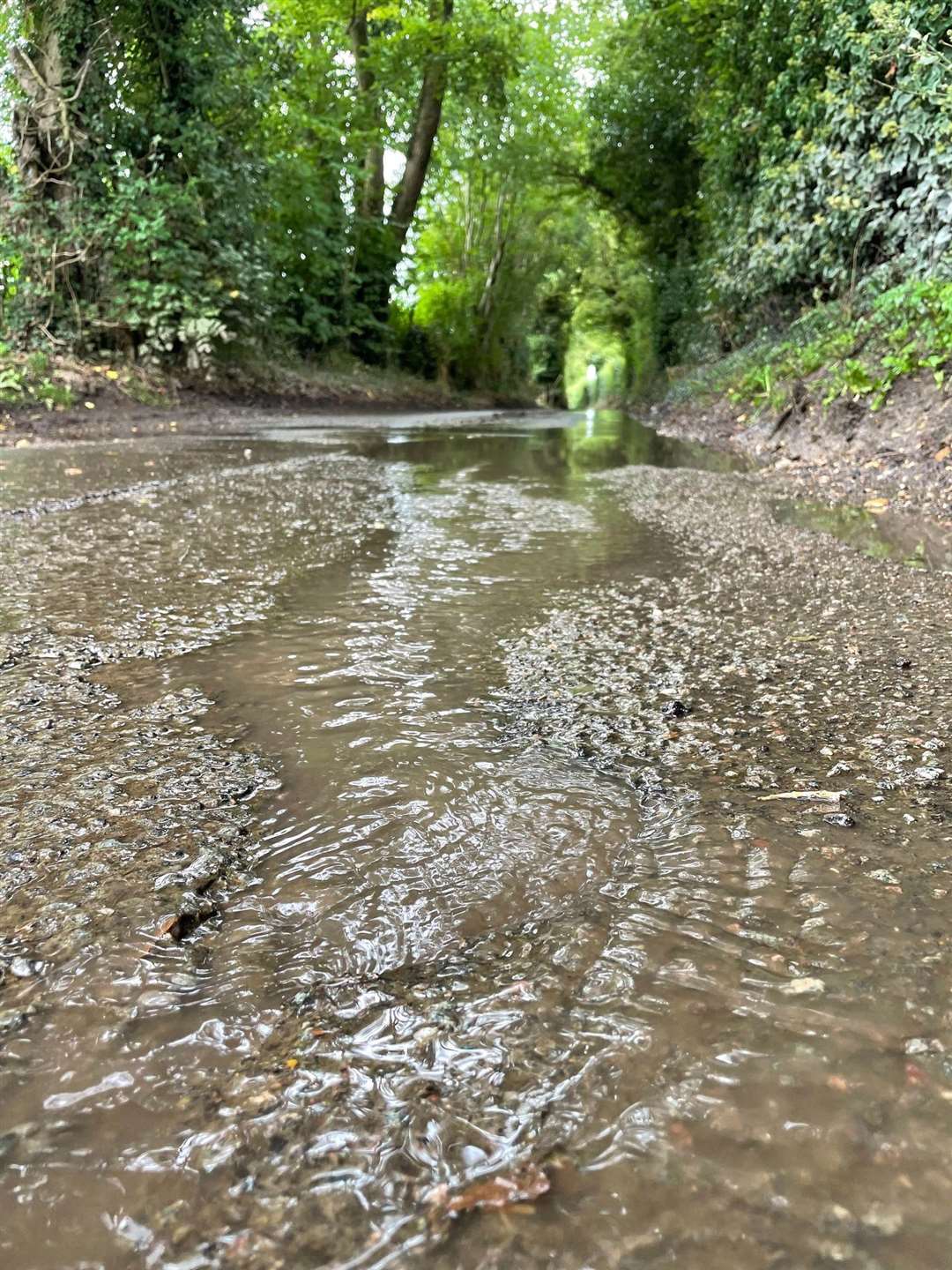 The leak in Idleigh Court Road, Meopham, has still not been fixed