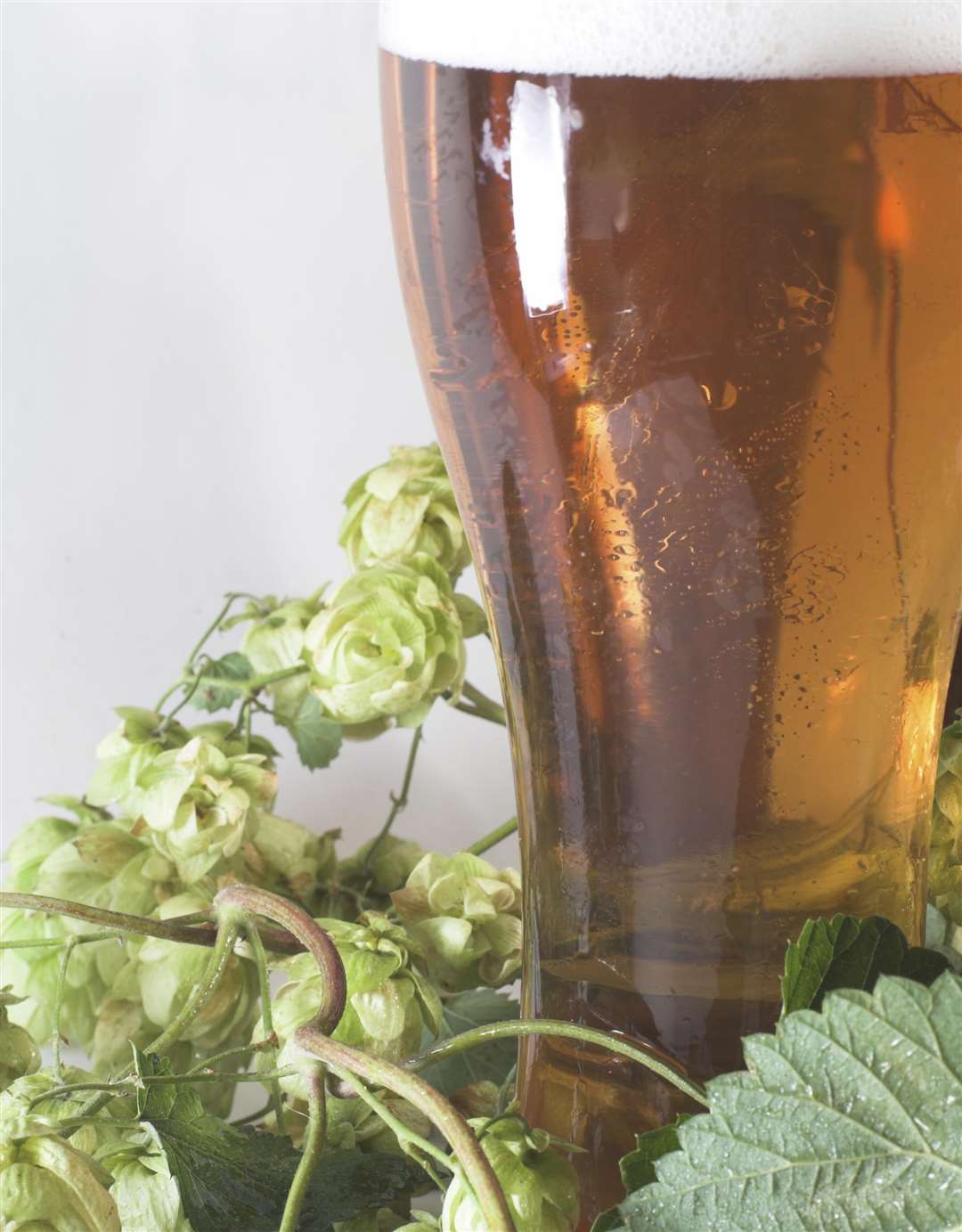 Get on the trail of Kentish hops and beer