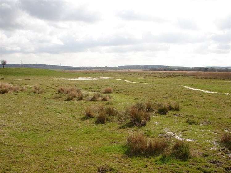 The RSPB reserve at Seasalter