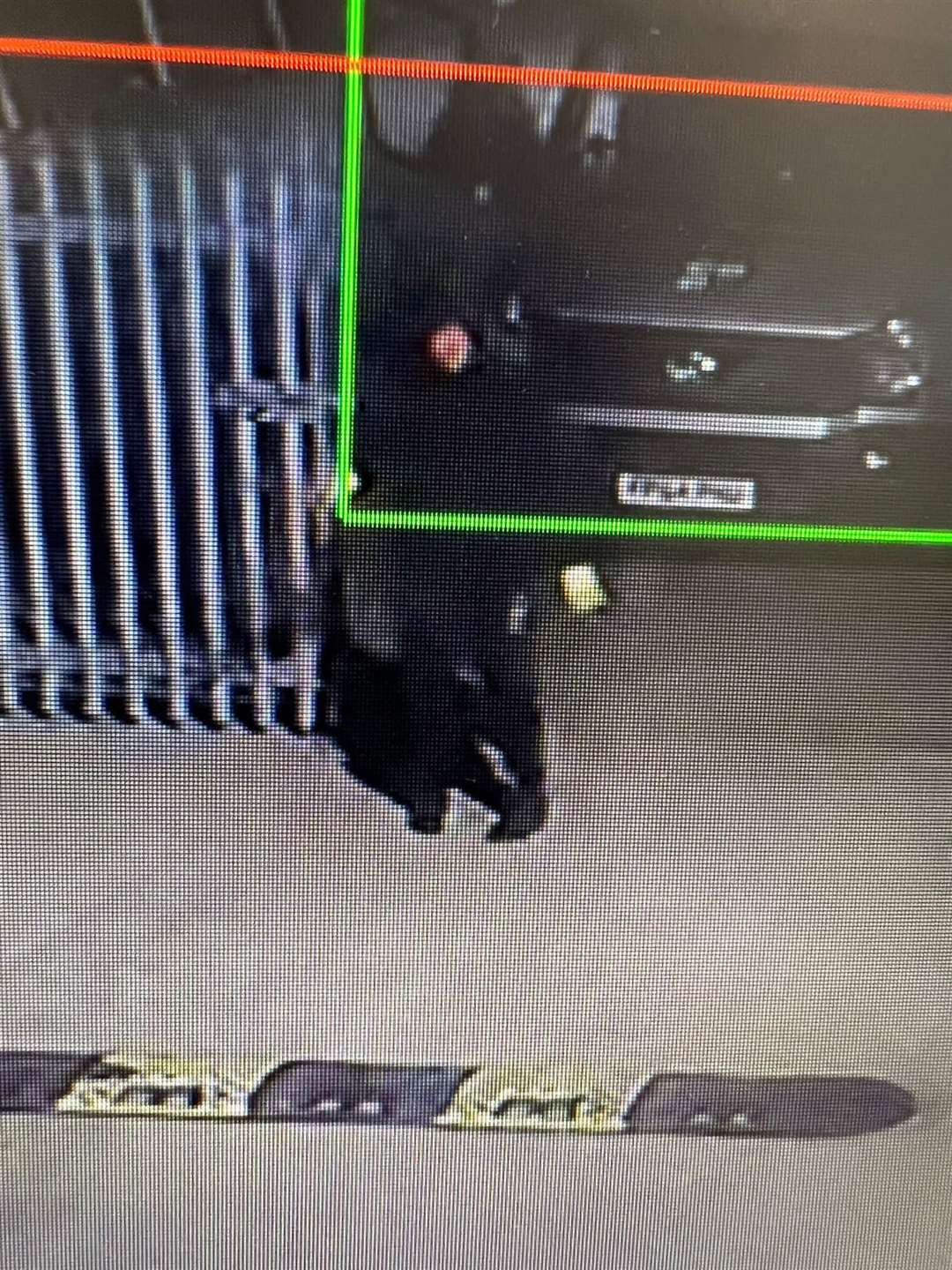 Two of the thieves caught on security camera breaking into CDDL Recycling's compound