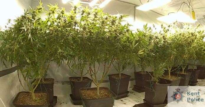A cannabis cultivation was found at a property in Ramsgate. Picture: Kent Police