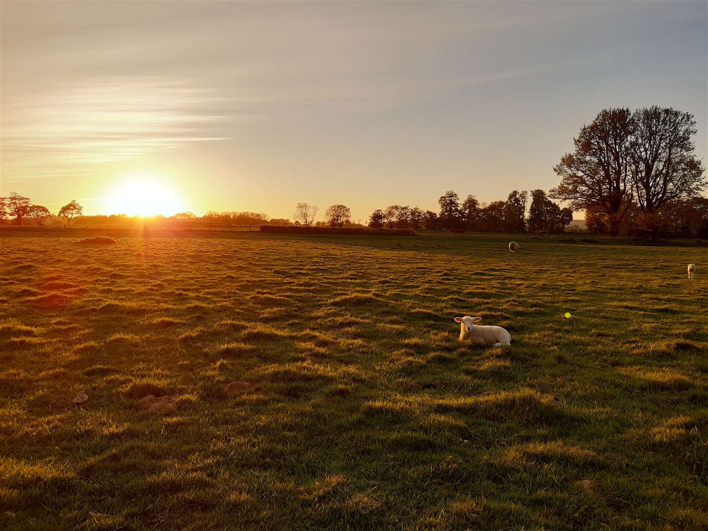 This weekend's sunshine is due to come to an on Sunday