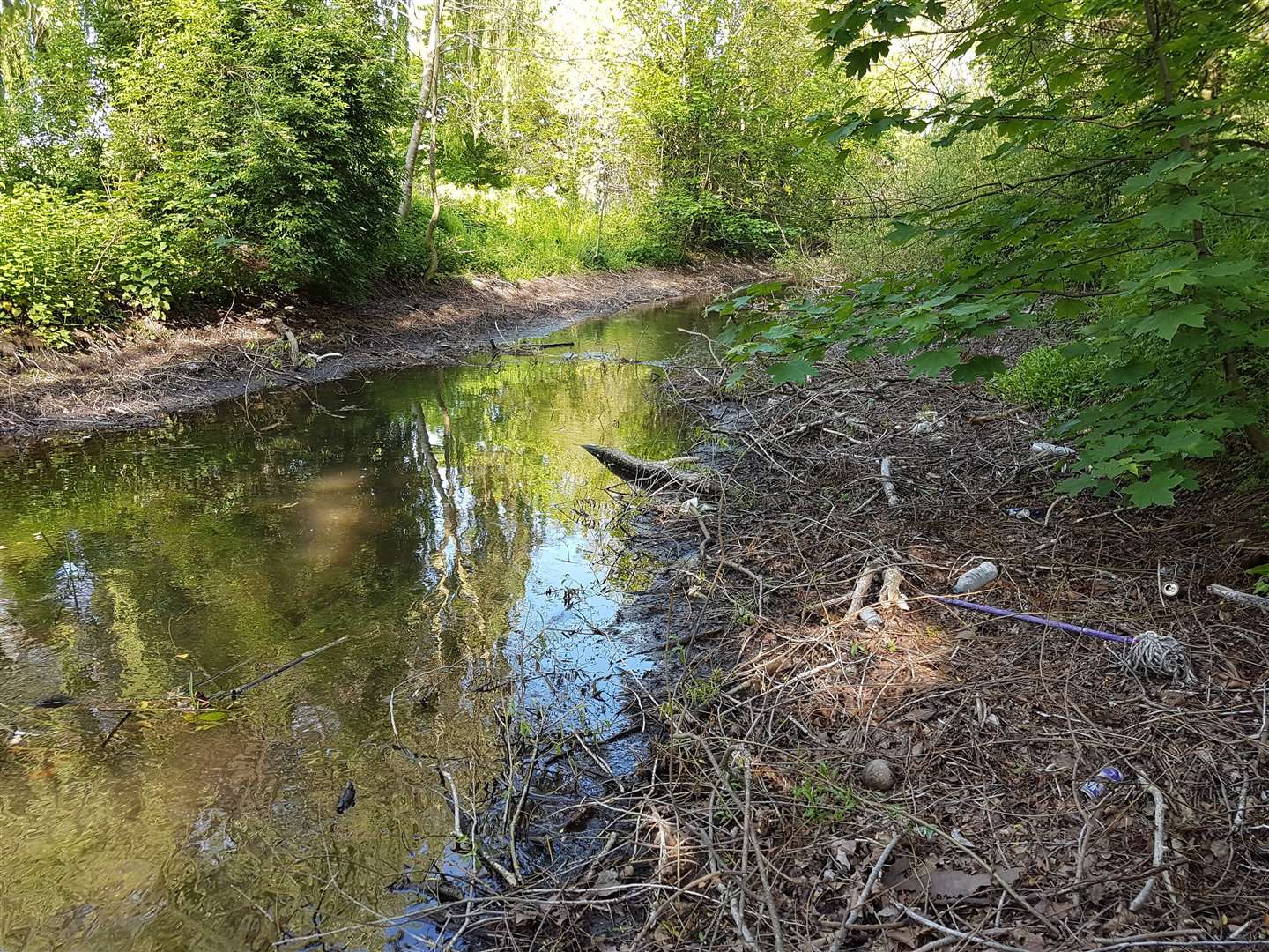 Work to restore the River Darent, a rare form of chalk stream will start on Monday Photo: Chris Gardner (20122628)