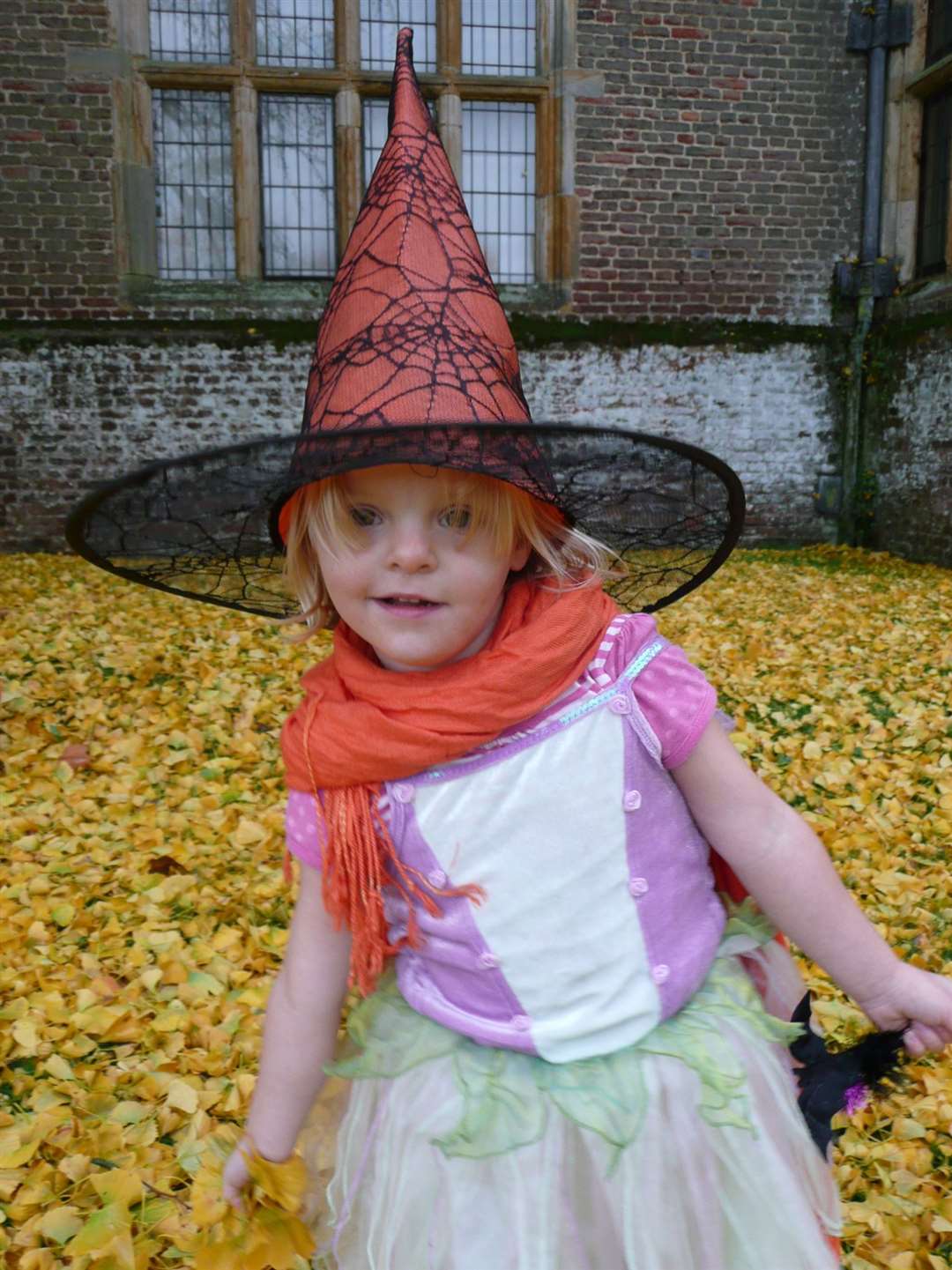 Halloween at Penshurst Place Picture: Maryann Webster