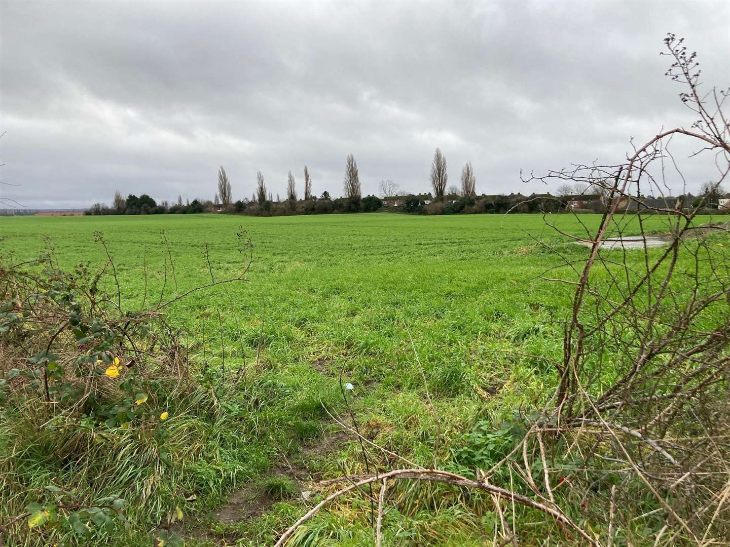 The farmland off Abbeyfields in Faversham, which could become a housing estate
