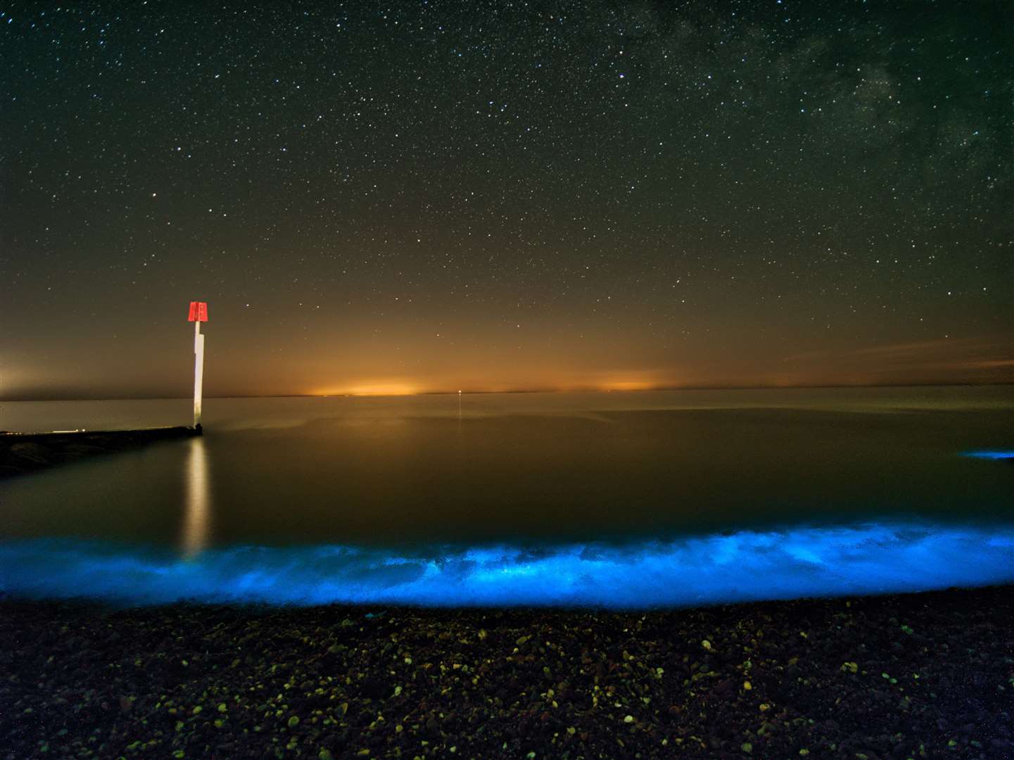 The blue light is caused by algae in the sea. Photo: Mike Hardy / C5 Films