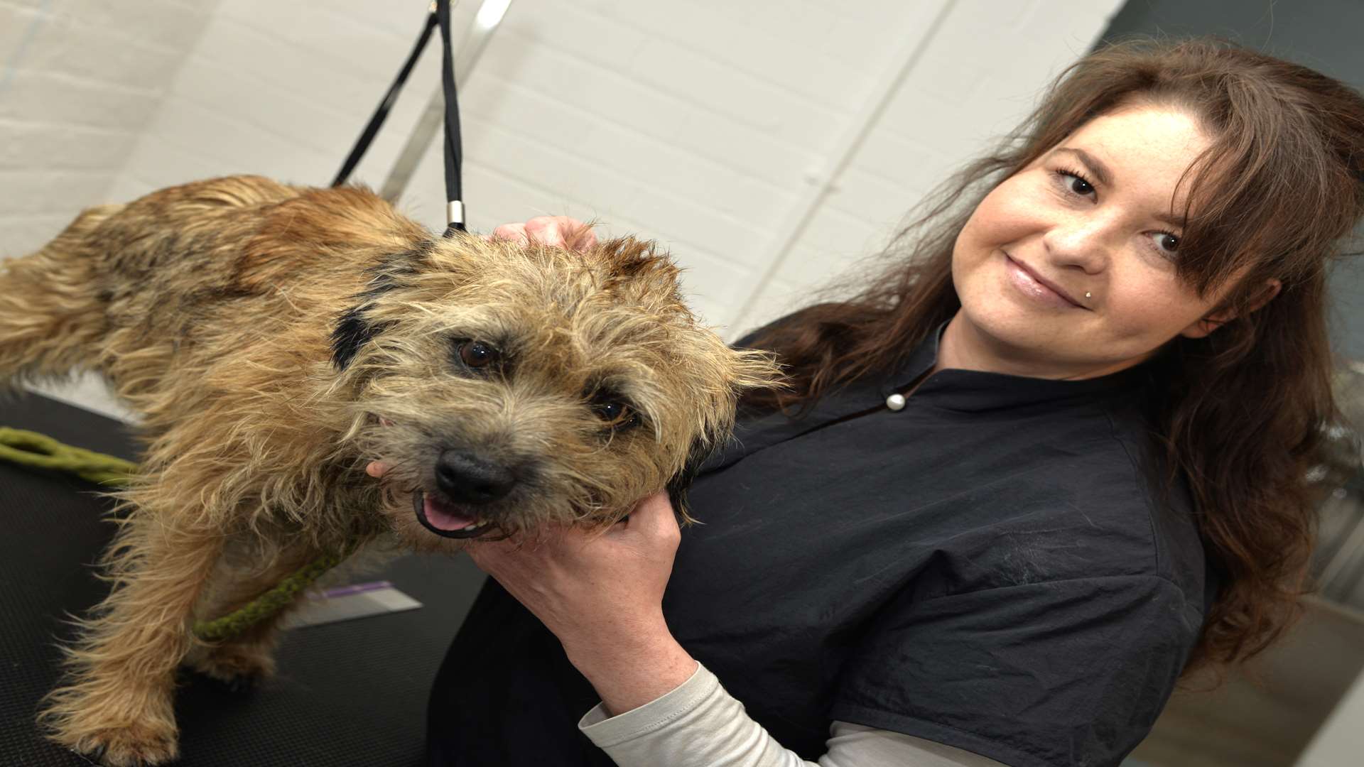 Becky has just set up a dog grooming service at Brogdale Farm in Faversham