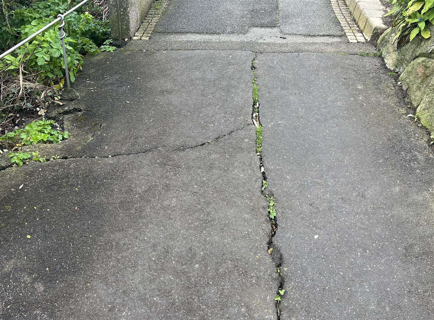 Cracks have been prominent along the Zig Zag Path in Folkestone but the trees along the path have been cause for greater concern