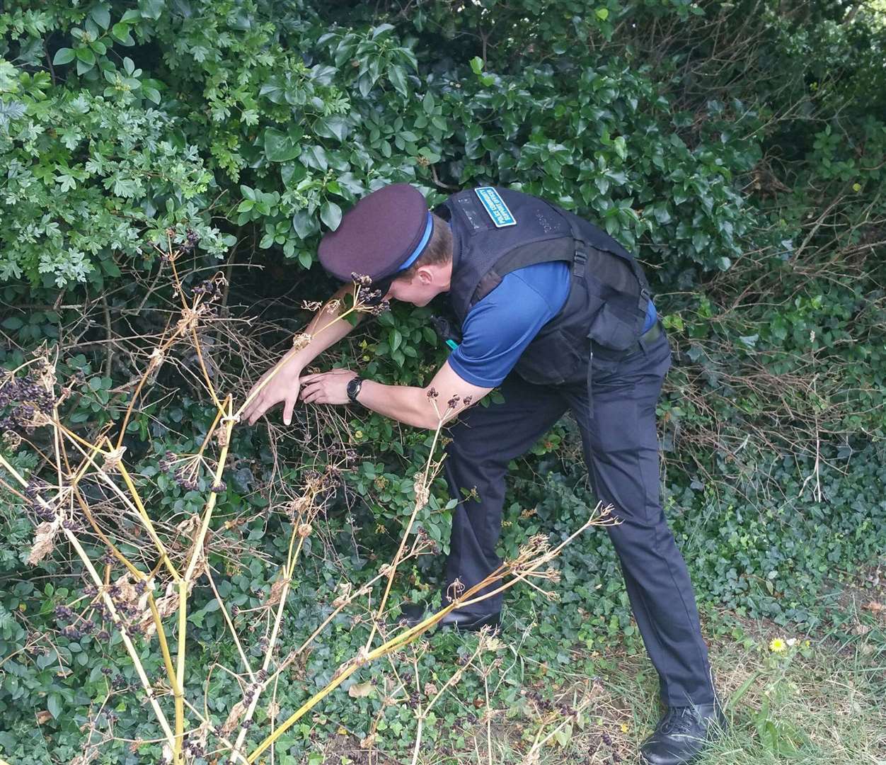 A weapon sweep was carried out in Herne Bay and Whitstable as part of a crack down on knife crime. (14673596)
