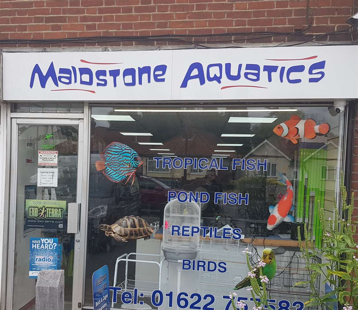 Maidstone Aquatics is based on Loose Road. Picture: KM