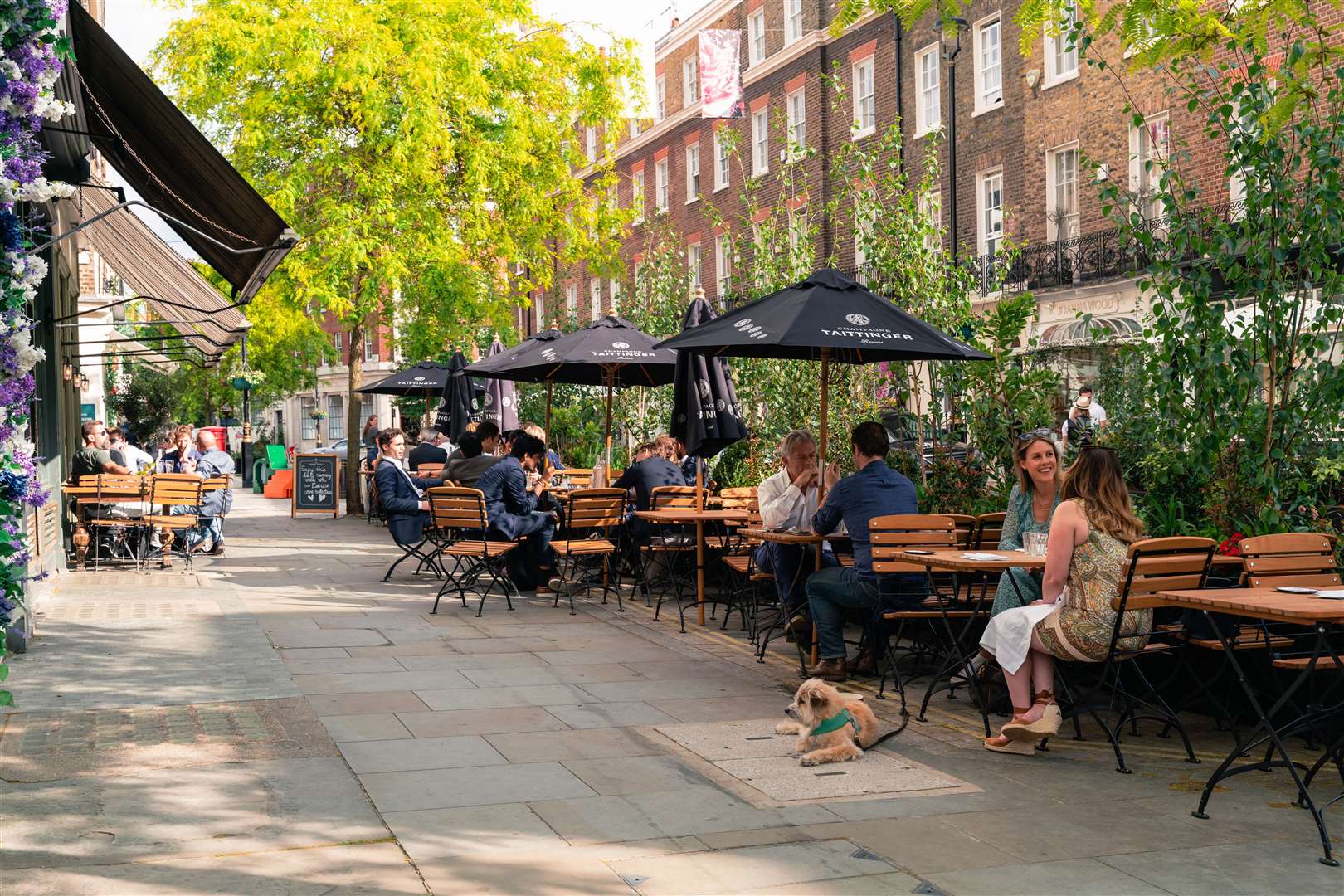 Alfresco dining rules - with or without a dog - in Belgravia