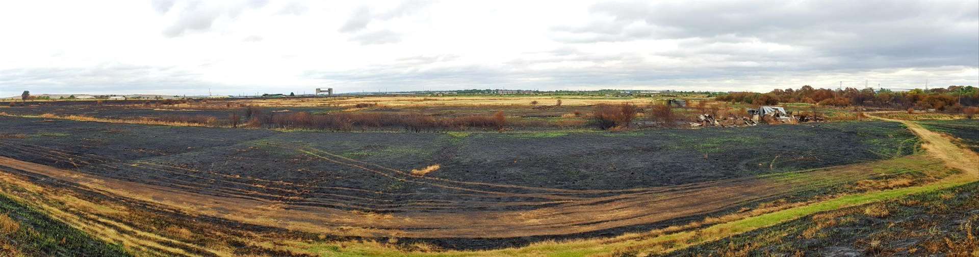 Much of the Dartford marshes have been blackened by fire.  Images: Matt Thomas