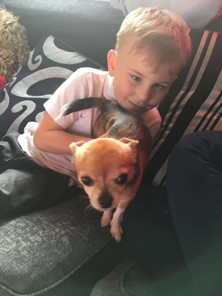 Fred the dog has made it back home (9586164)