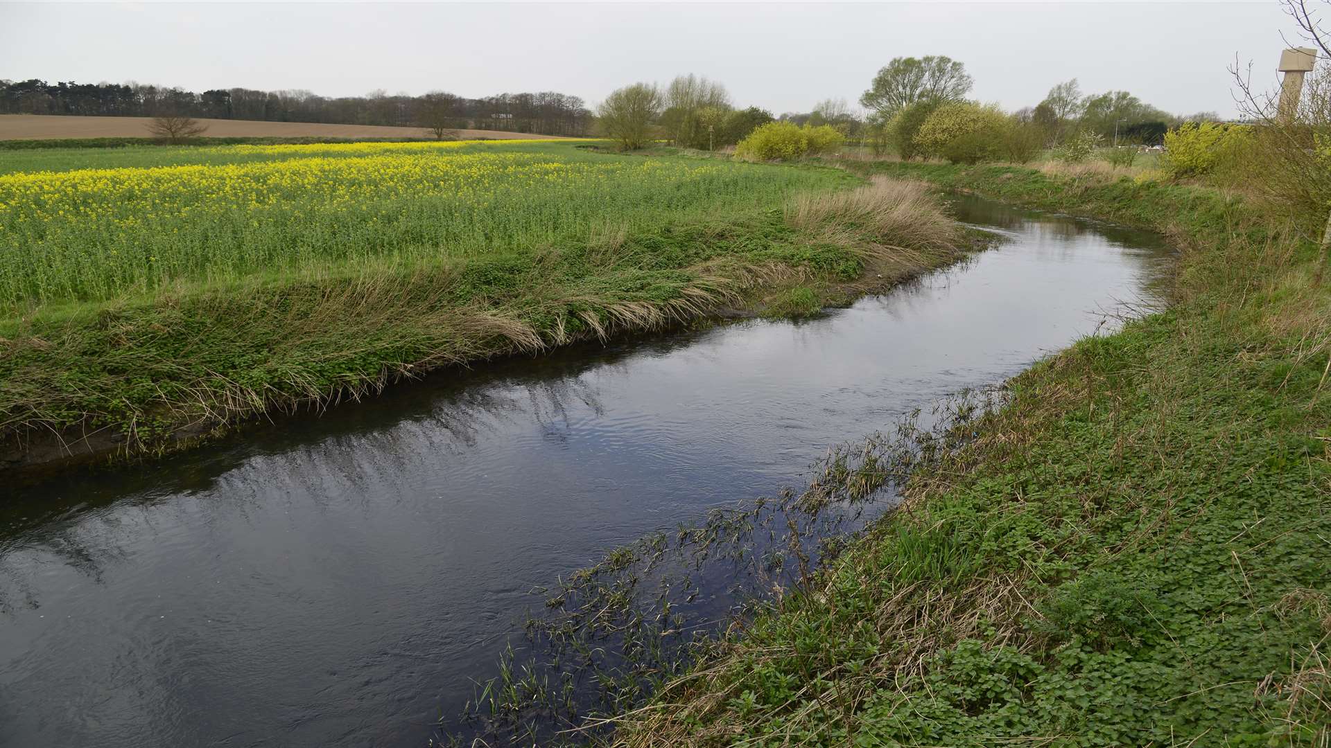 The Environment Agency warns parts of the River Stour are at flood risk