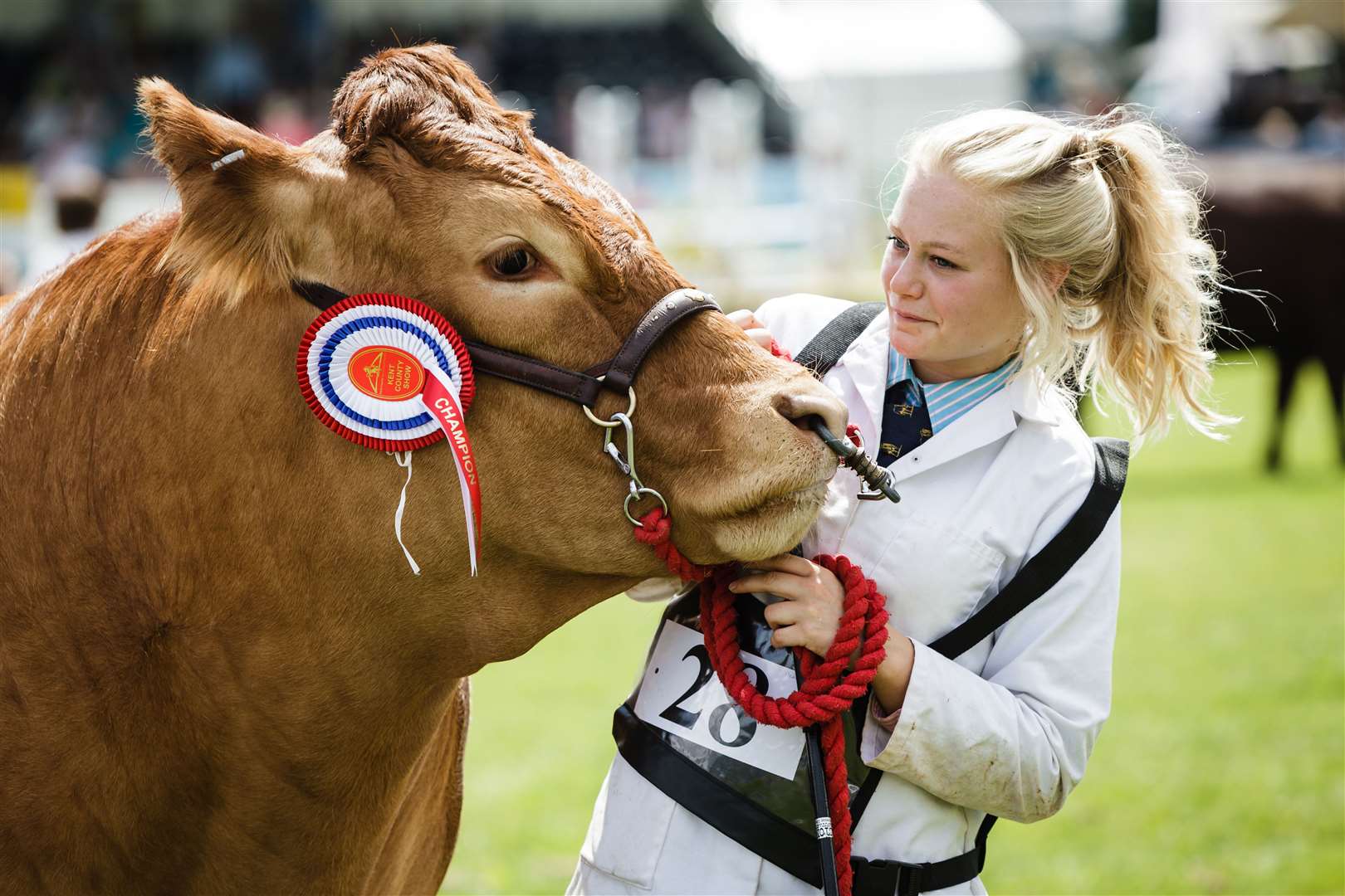The Kent County Show is the region's showcase event for farming, agriculture and countryside life and returns this year. Picture: Thomas Alexander