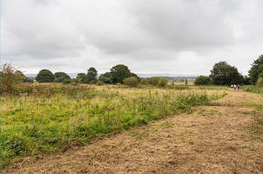 The land earmarked for development. Picture:: Orchard Farm Ltd