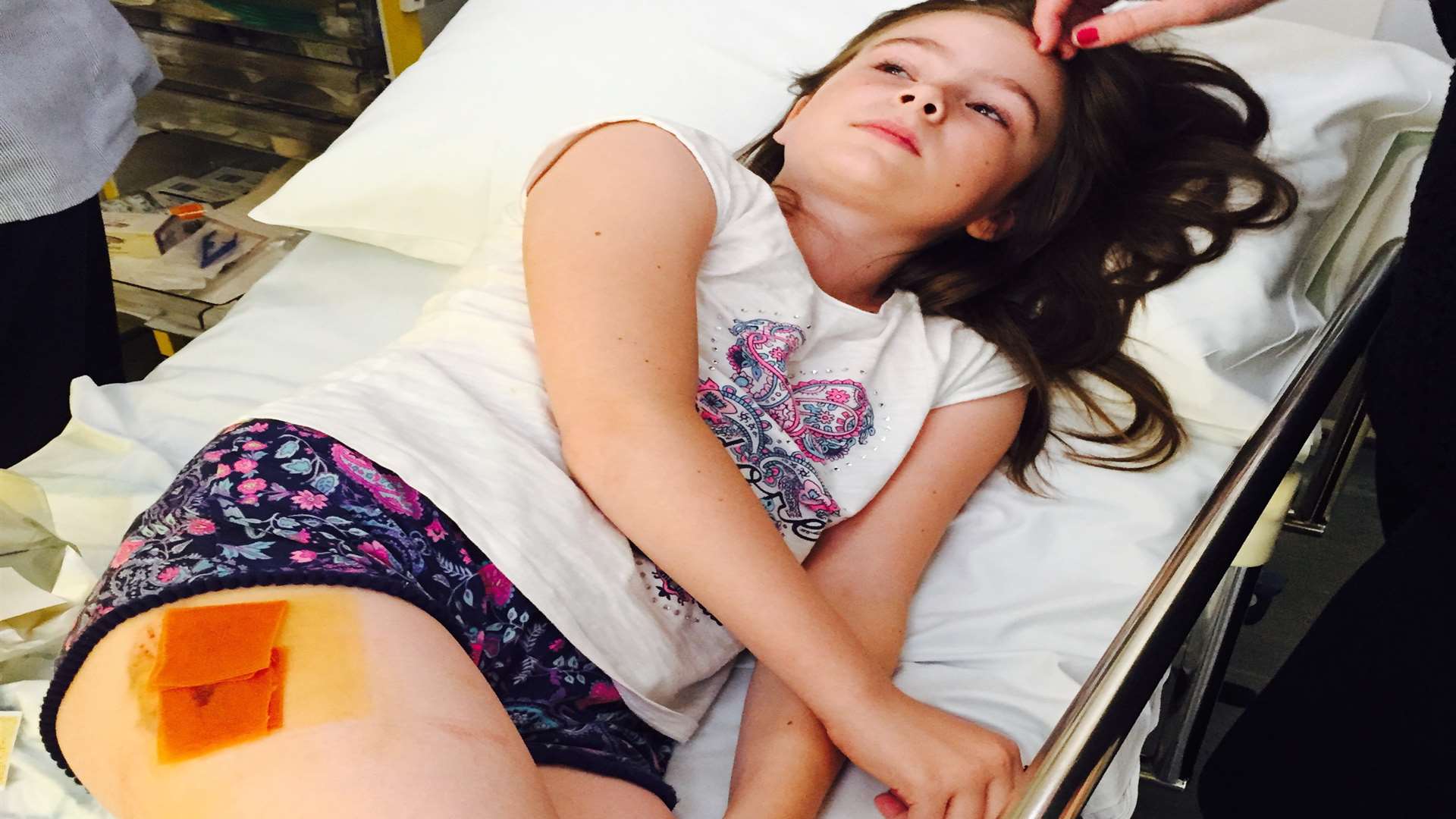 Ava Farrell, 8, in hospital following the bite