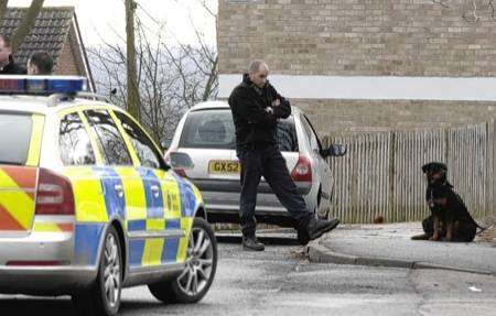 The scene in The Close off Downs Road, Canterbury during the operation to capture two dogs on Thursday morning.