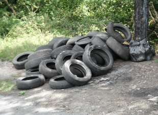 Mr Williams discovered these tyres dumped in Ringwould