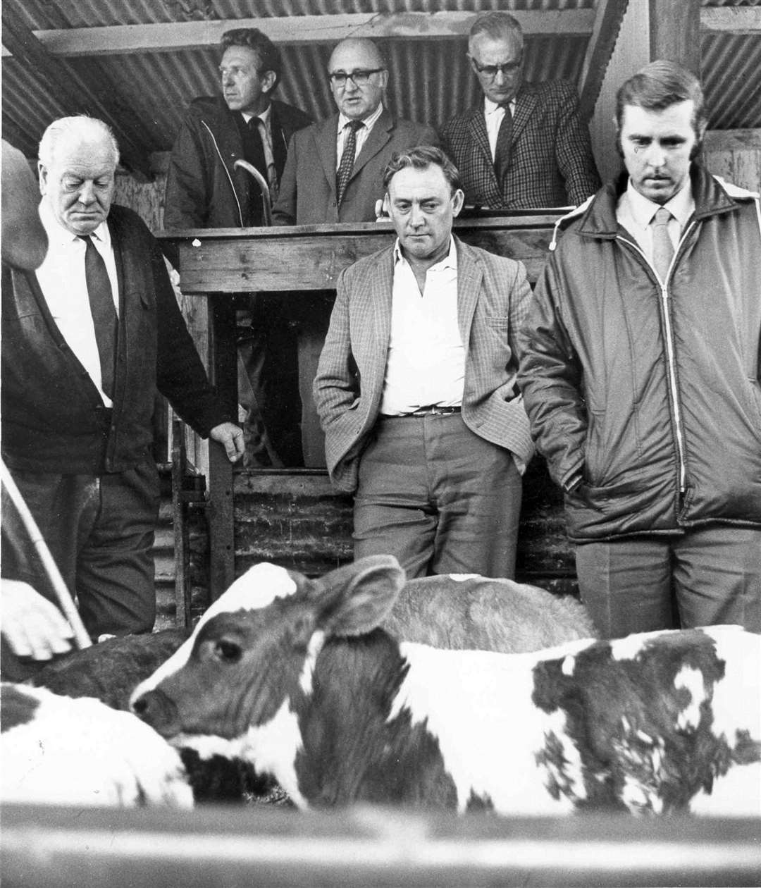 Bob Burns, centre back, conducts the last cattle market at Tonbridge Cattle Market in 1971