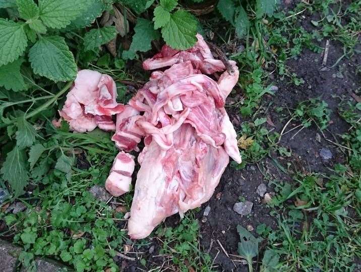 Raw meat left near a lamppost near All Saints Church