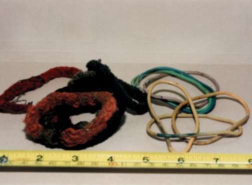 Hair ties were also found with the sleeping bag