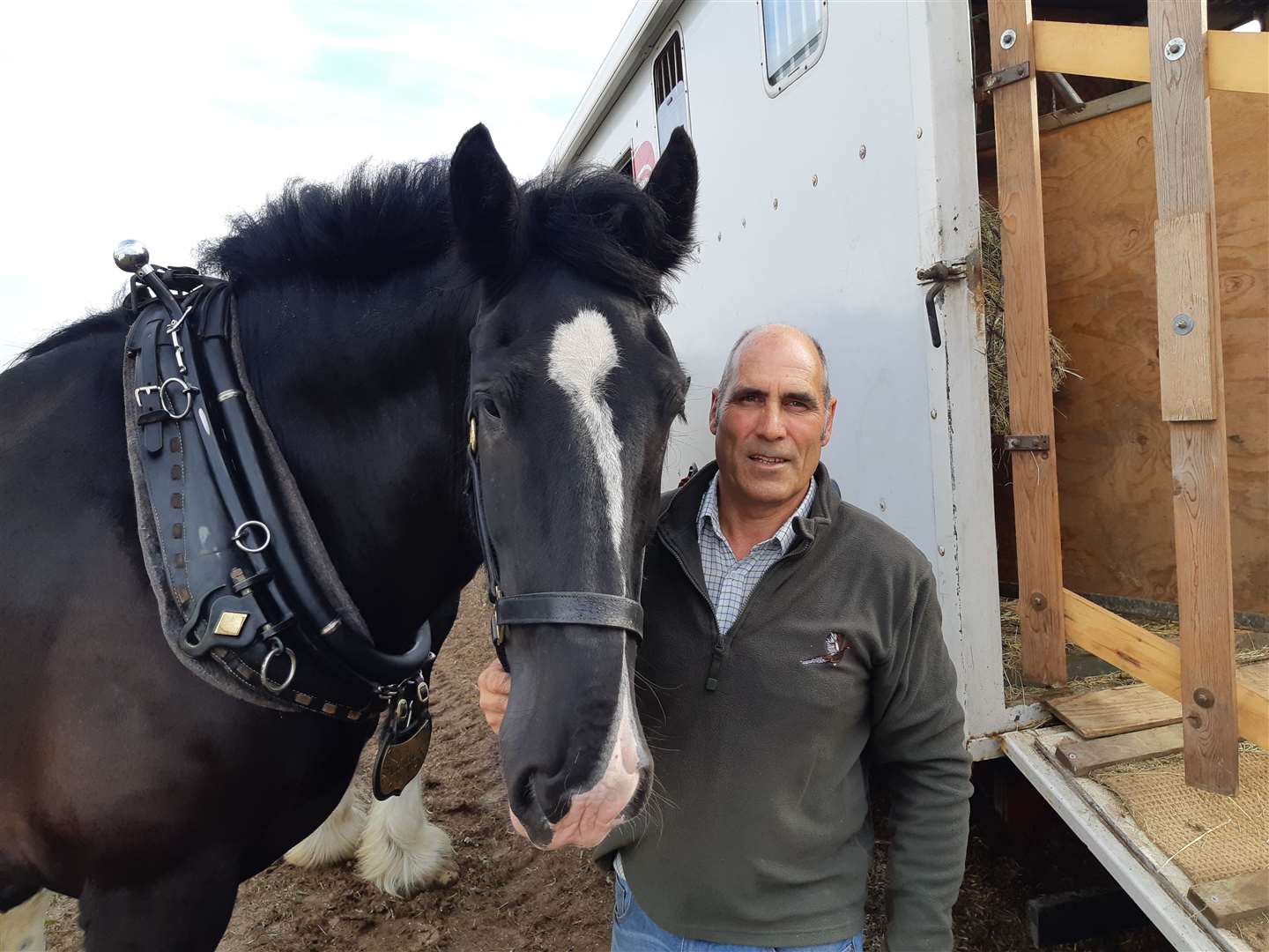 Ray Dawkins with his shire horse Arthur
