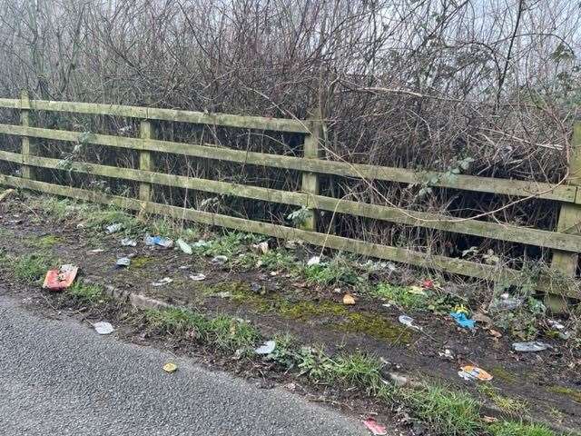Some of the general litter lying along the country lane. Picture: Donna Clarke
