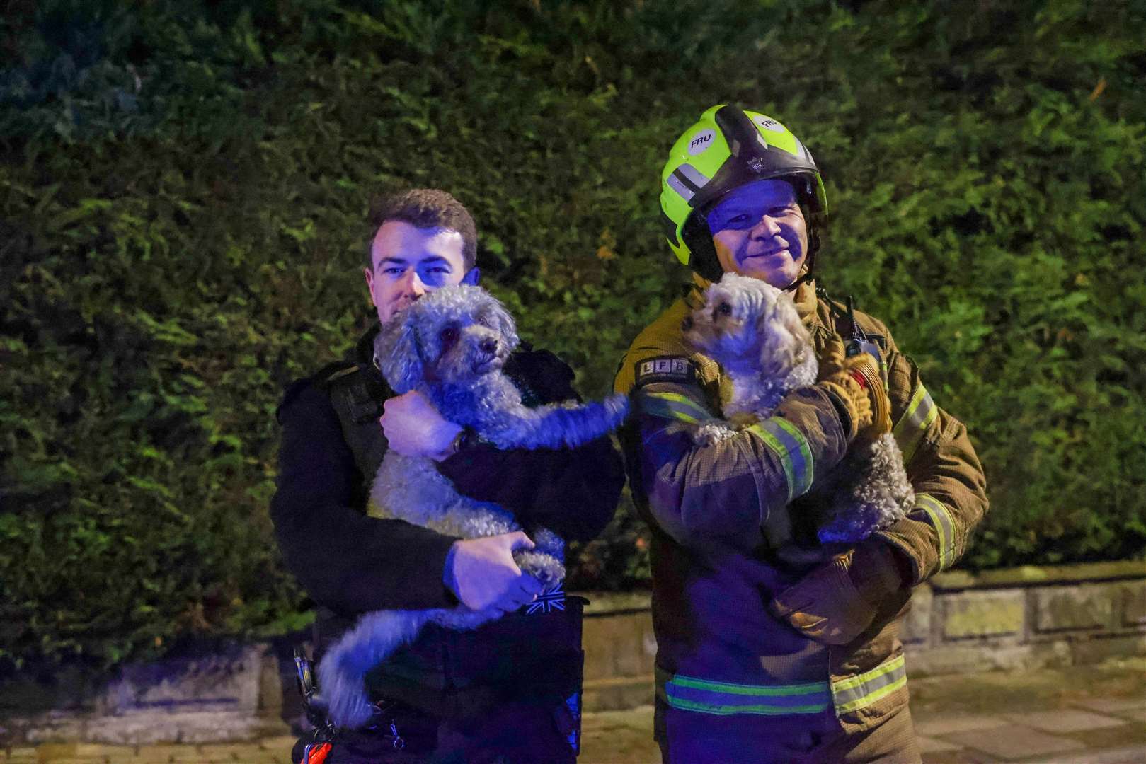 The two dogs were saved by fire crews and police officers after a house fire along Hilda Vale Road, Orpington. Picture: UKNIP
