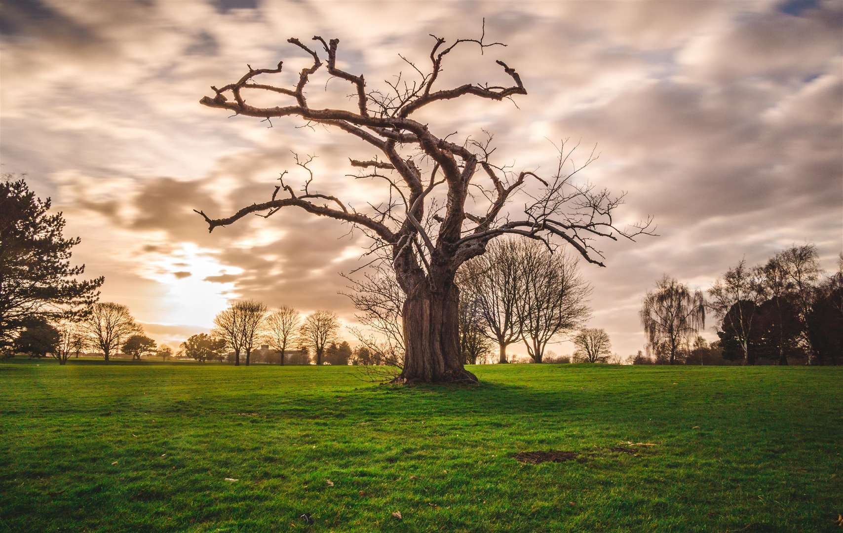 The winner of the Seasons category in the Mote Park Photographic Competition, by Rob Swan