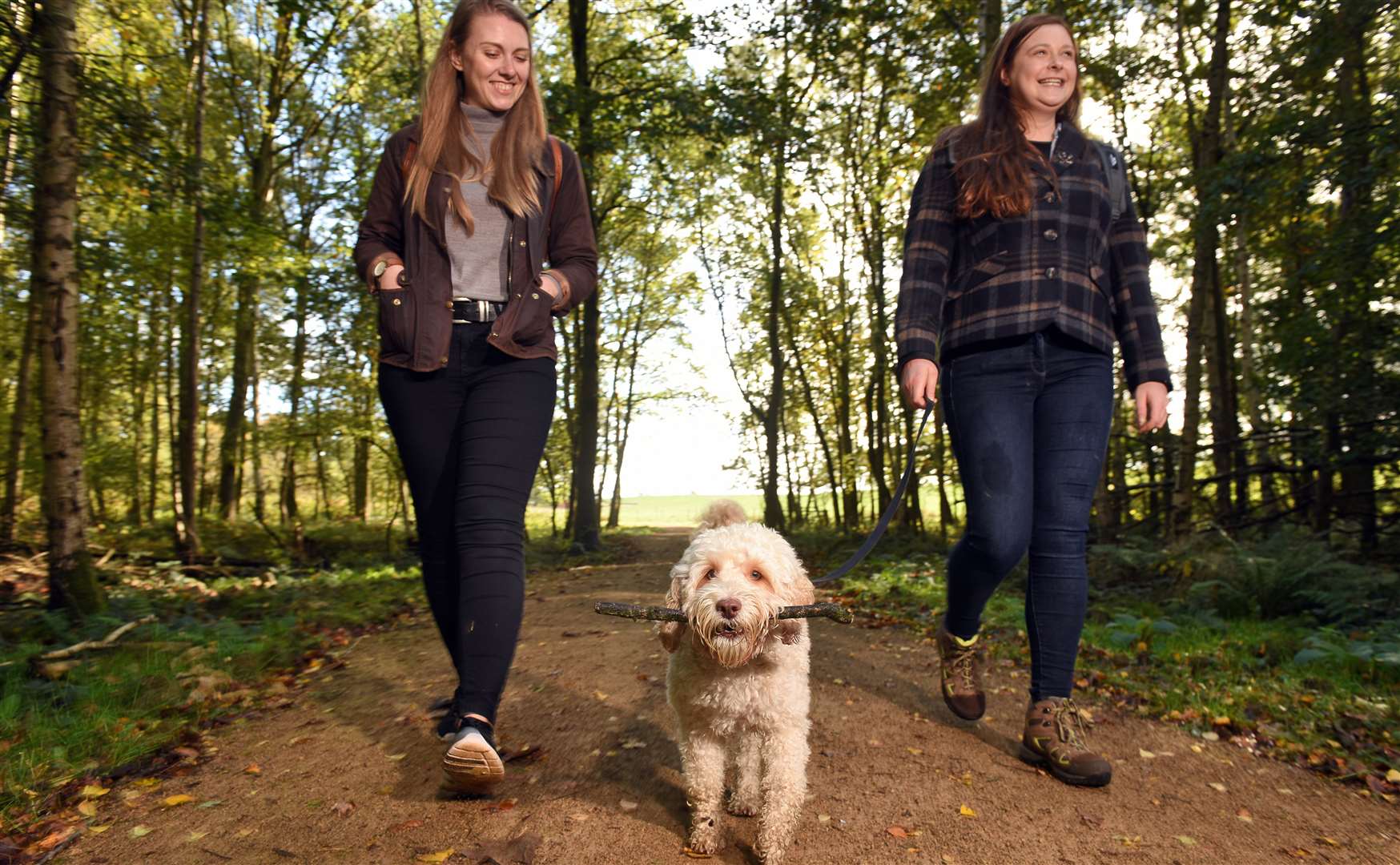 Take your dog for a National Trust walk Picture: National Trust/John Millar
