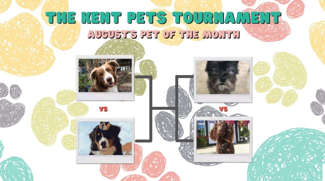 Round two of August's Kent Pet Tournament