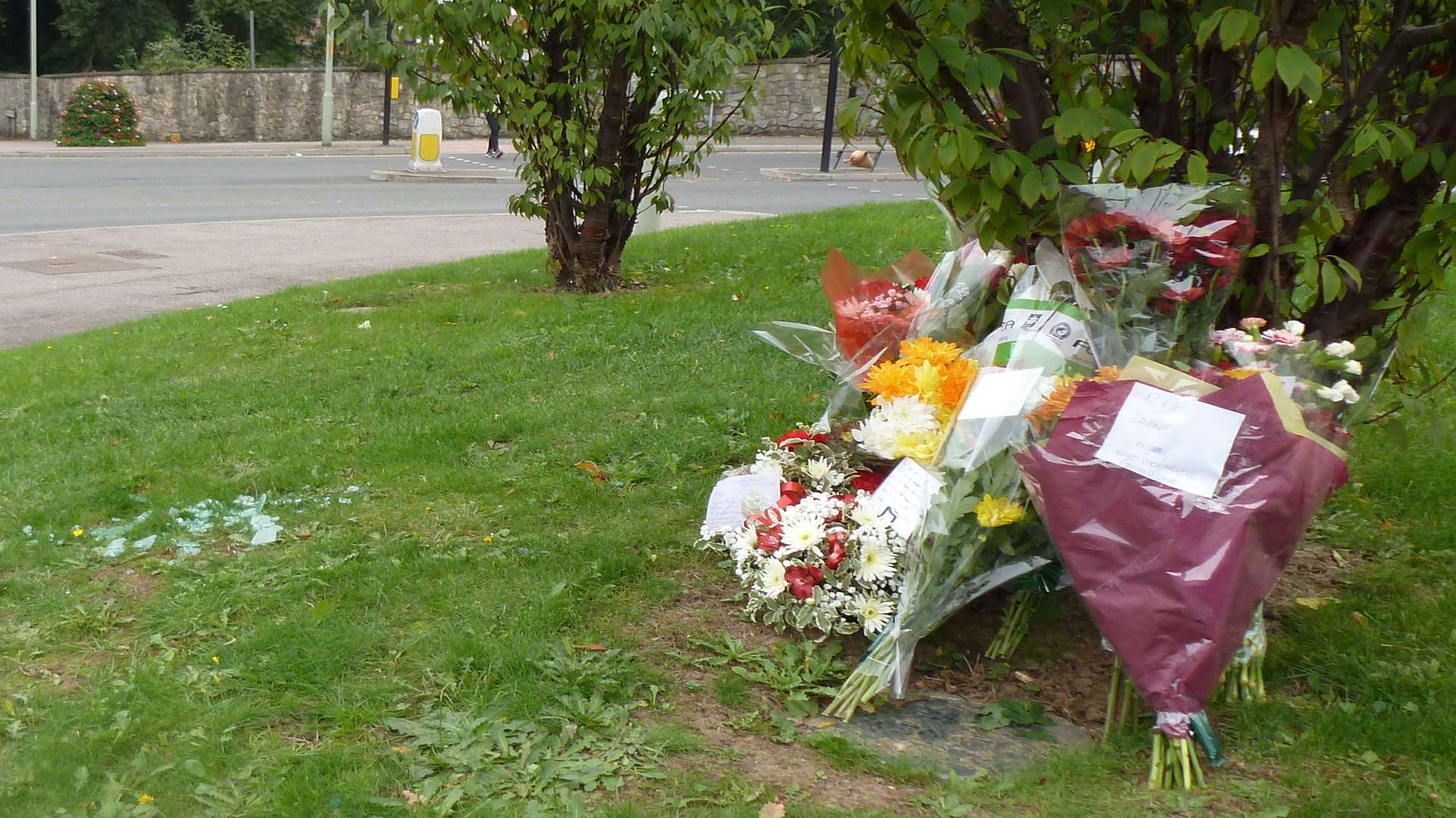 Bunches of flowers left at the crash site in Ashford