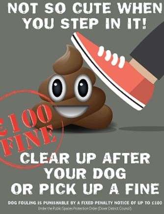 One of the council's anti-fouling street posters. Picture: Dover District Council