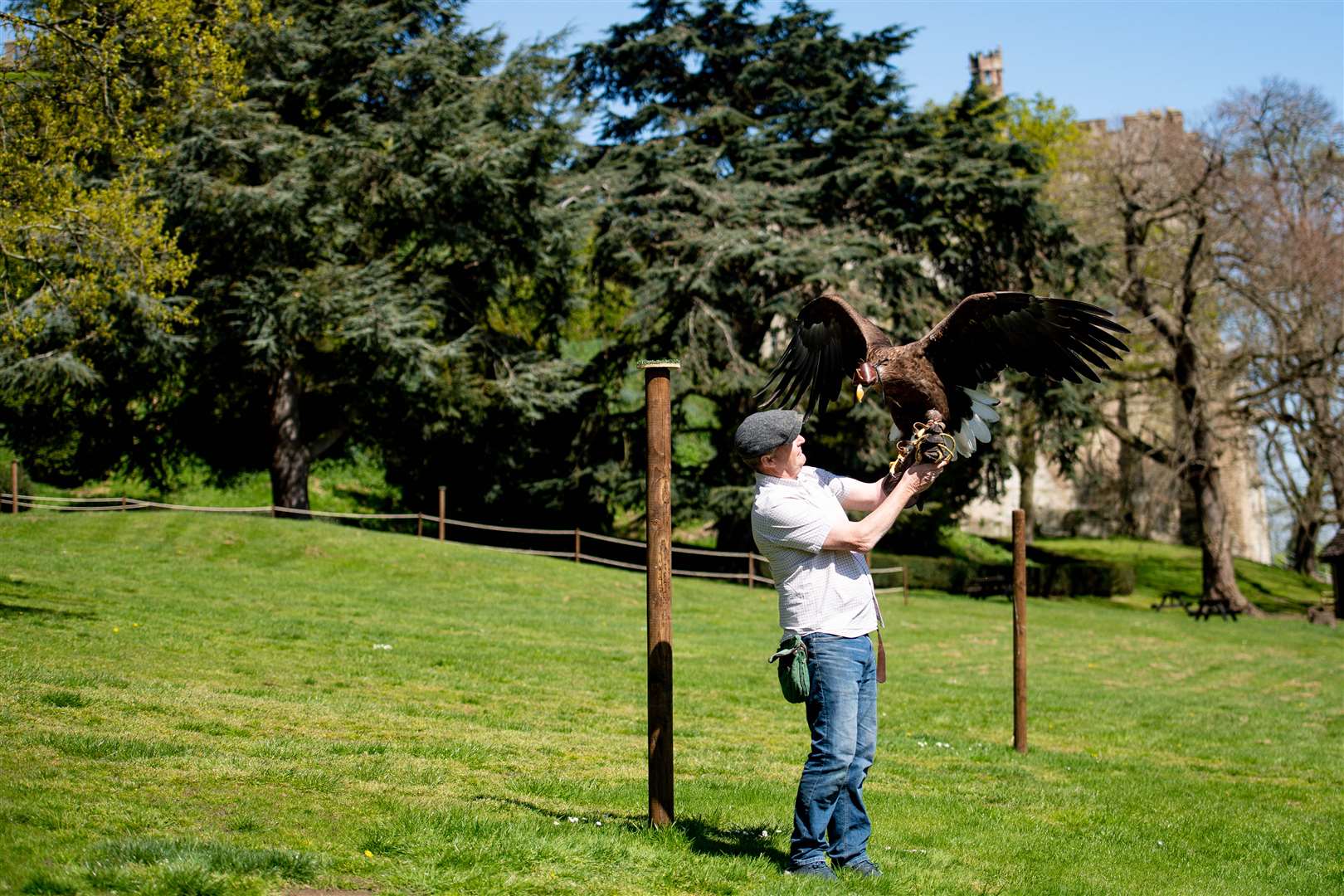 Mr O’Donnell with a white-tailed sea eagle (Jacob King/PA)