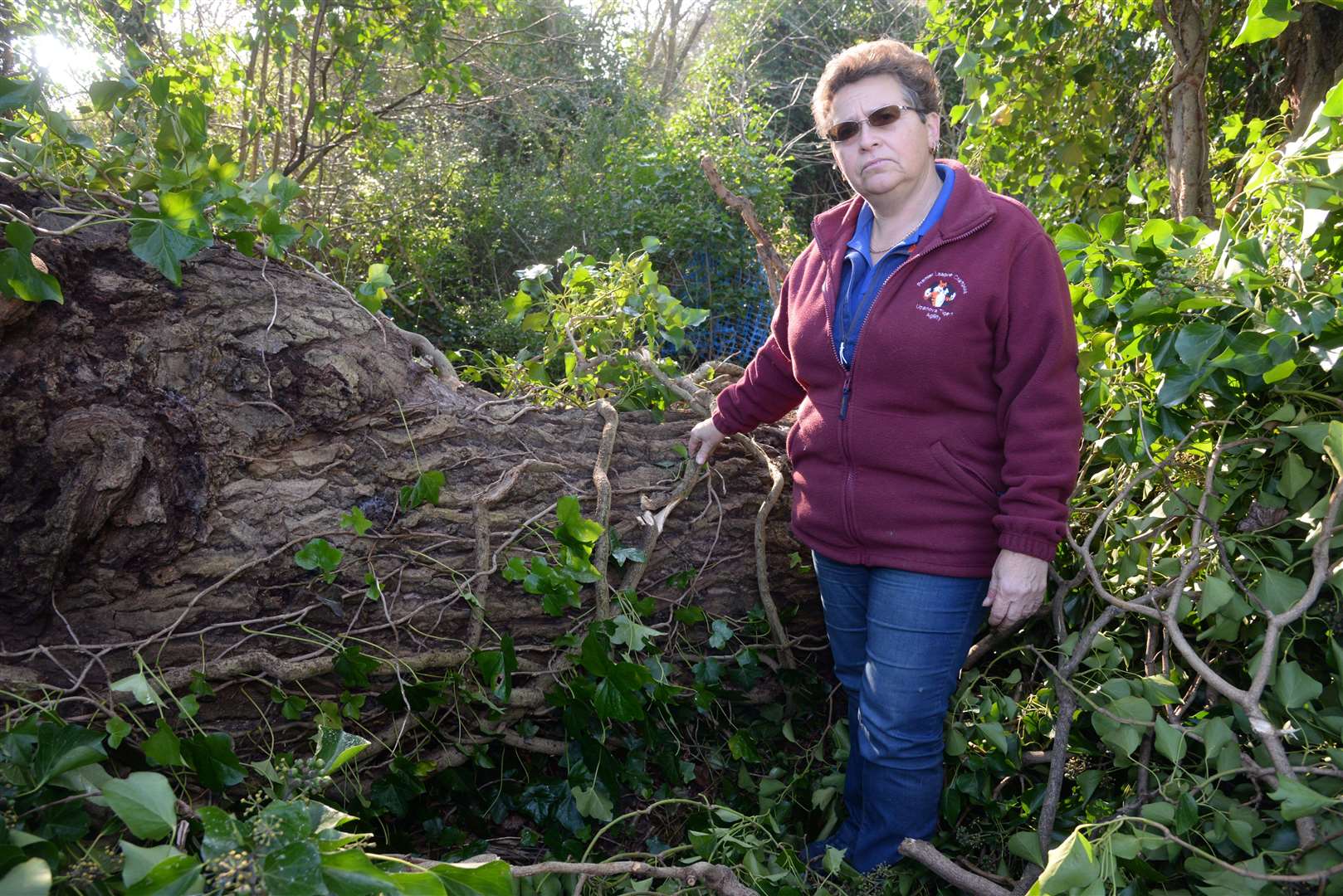 Sue Montgomery with the now felled tree in South View Road, Whitstable. Picture: Chris Davey