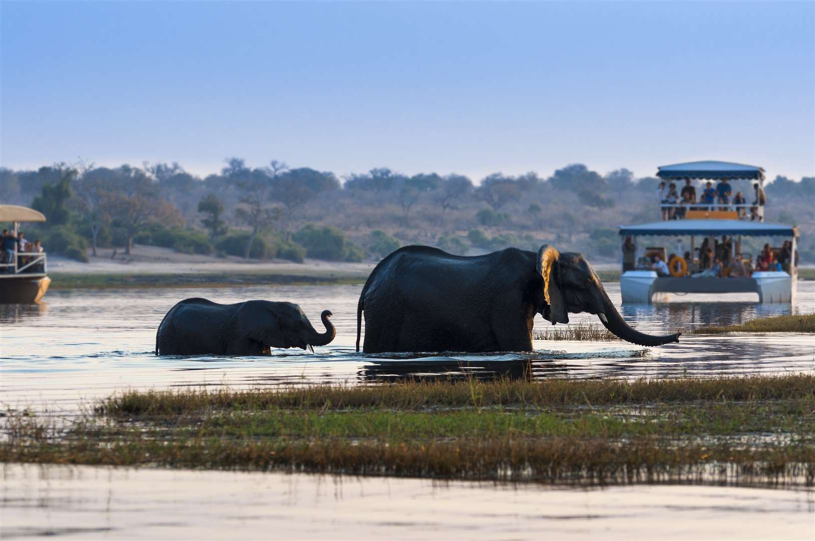 Botswana is one of the fast growing destinations for those seeking a luxury safari