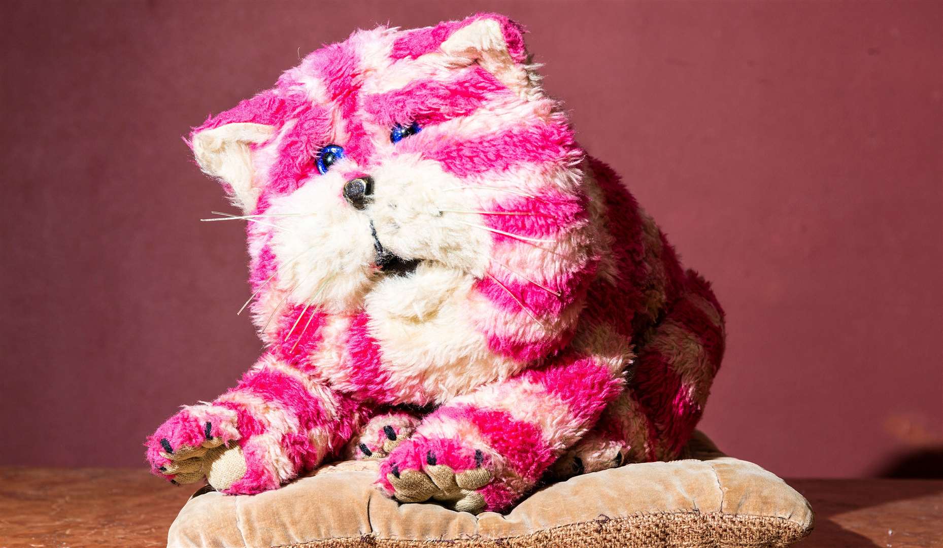 The original Bagpuss puppet is on display in Canterbury where the TV show was filmed in the 1970s. Picture: The Beaney, Canterbury