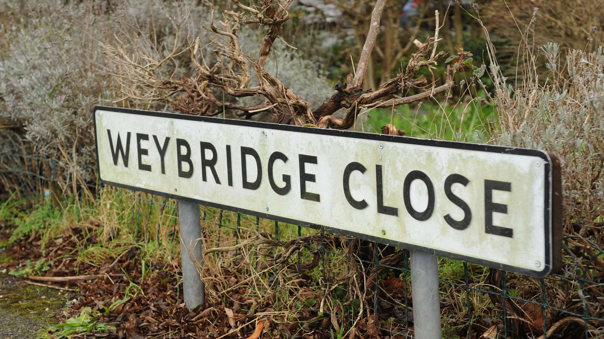 The shooting happened in Weybridge Close